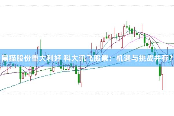 黑猫股份重大利好 科大讯飞股票：机遇与挑战并存？