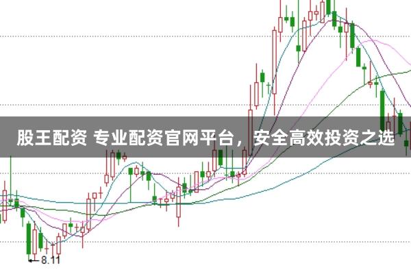 股王配资 专业配资官网平台，安全高效投资之选