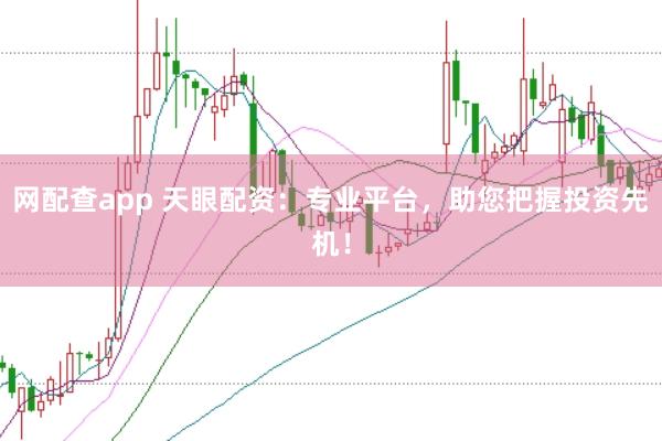 网配查app 天眼配资：专业平台，助您把握投资先机！
