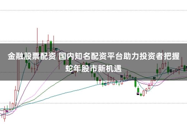 金融股票配资 国内知名配资平台助力投资者把握蛇年股市新机遇