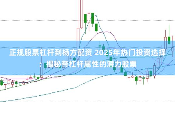 正规股票杠杆到杨方配资 2025年热门投资选择：揭秘带杠杆属性的潜力股票