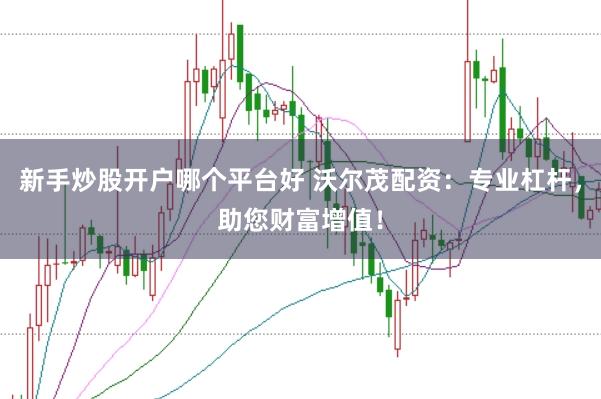 新手炒股开户哪个平台好 沃尔茂配资：专业杠杆，助您财富增值！
