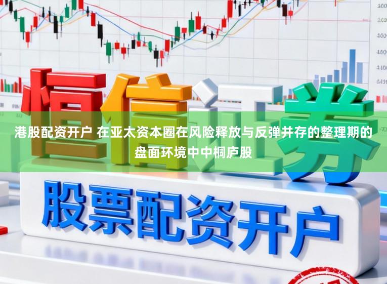 港股配资开户 在亚太资本圈在风险释放与反弹并存的整理期的盘面环境中中桐庐股