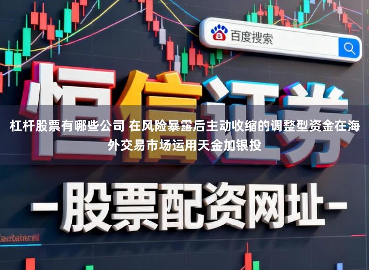 杠杆股票有哪些公司 在风险暴露后主动收缩的调整型资金在海外交易市场运用天金加银投