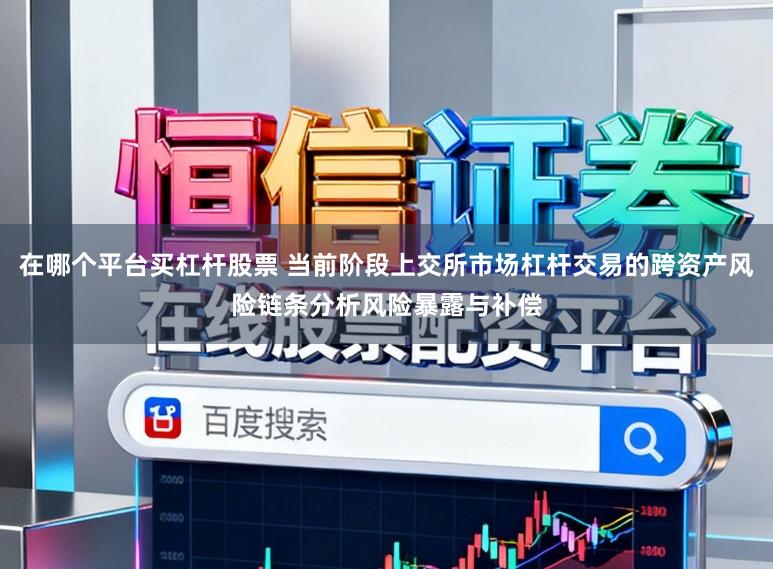 在哪个平台买杠杆股票 当前阶段上交所市场杠杆交易的跨资产风险链条分析风险暴露与补偿